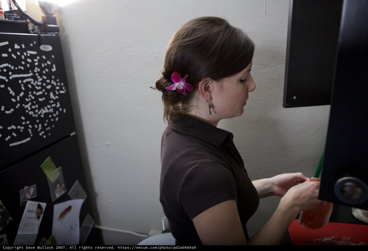 Woman with Orchid Hair Accessory at Office Desk