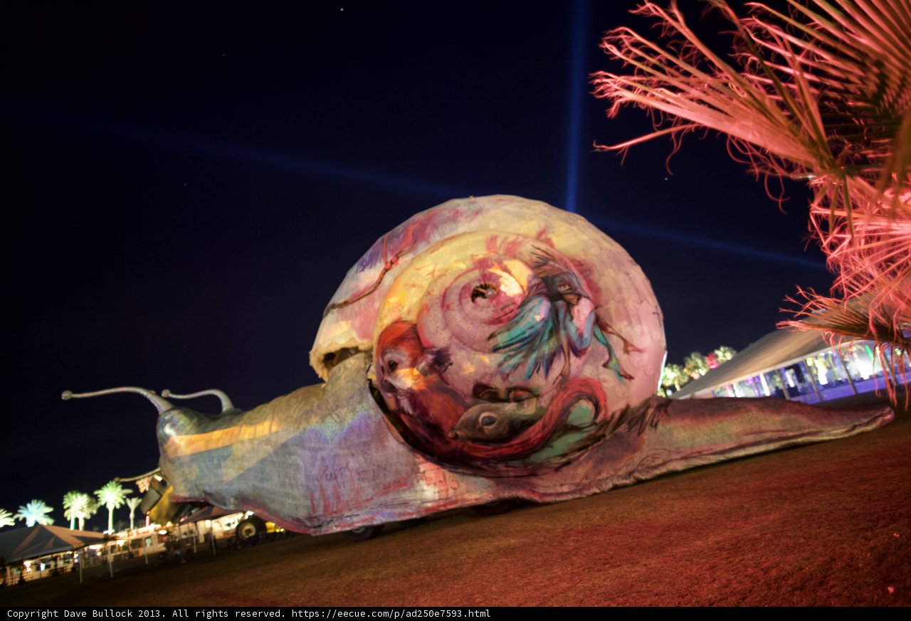 Snail Bride Takes on the Night