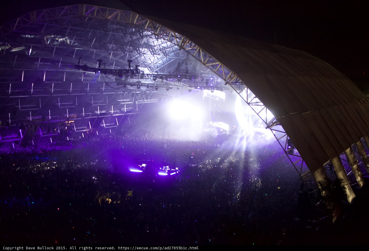 Bright Lights and a Sea of People