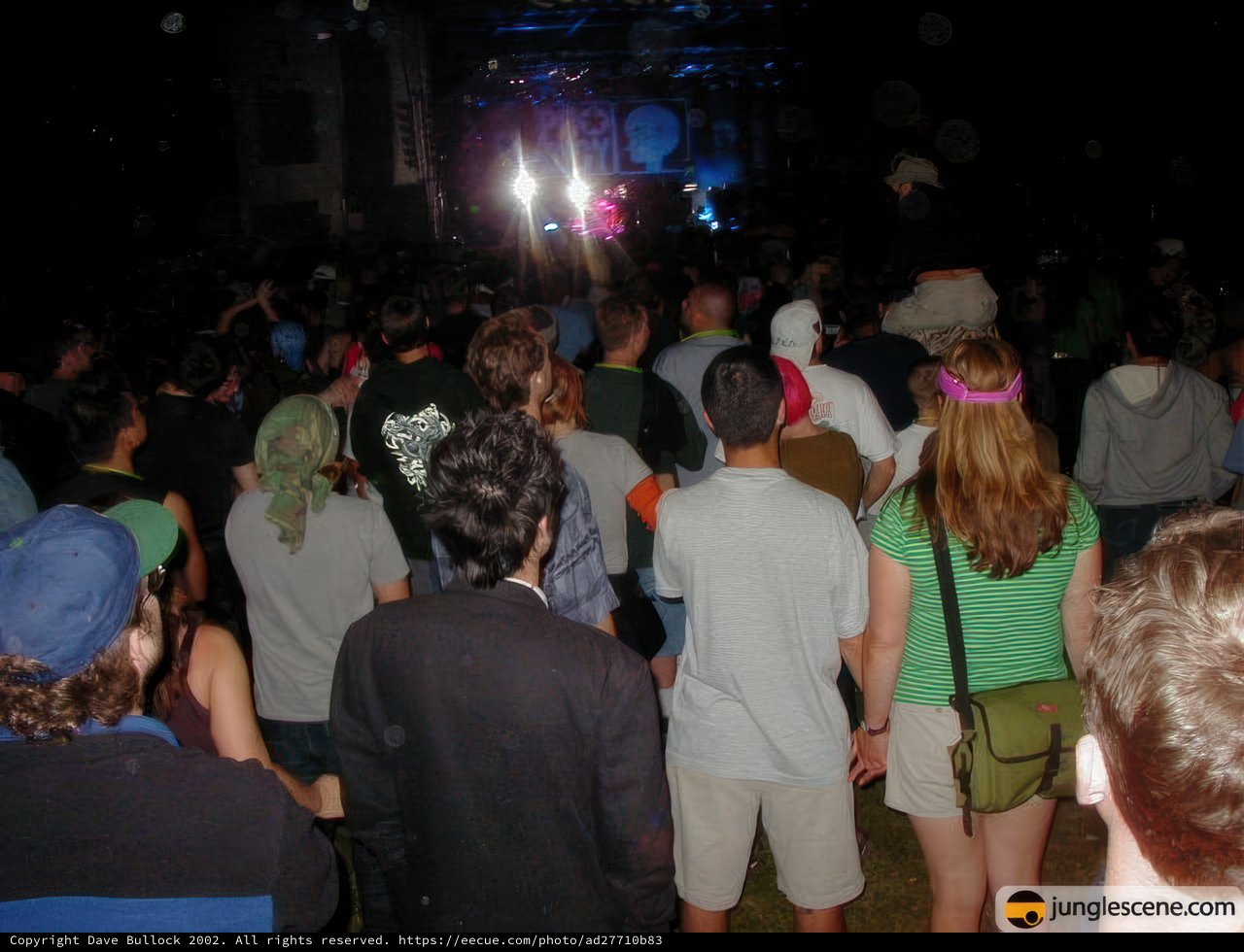 Coachella Nights