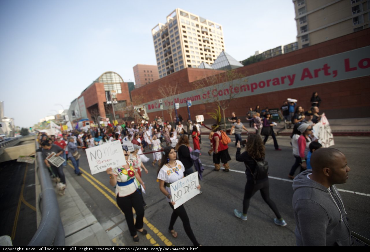 Unity in Diversity Protest