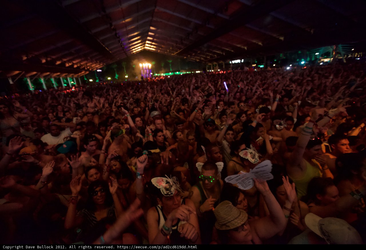 Coachella Crowd Goes Wild