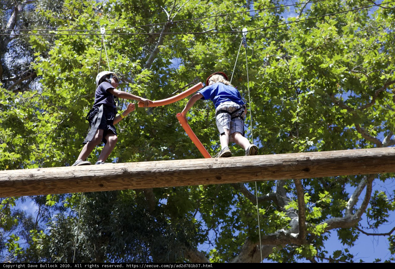 Adventure on the Wooden Bridge