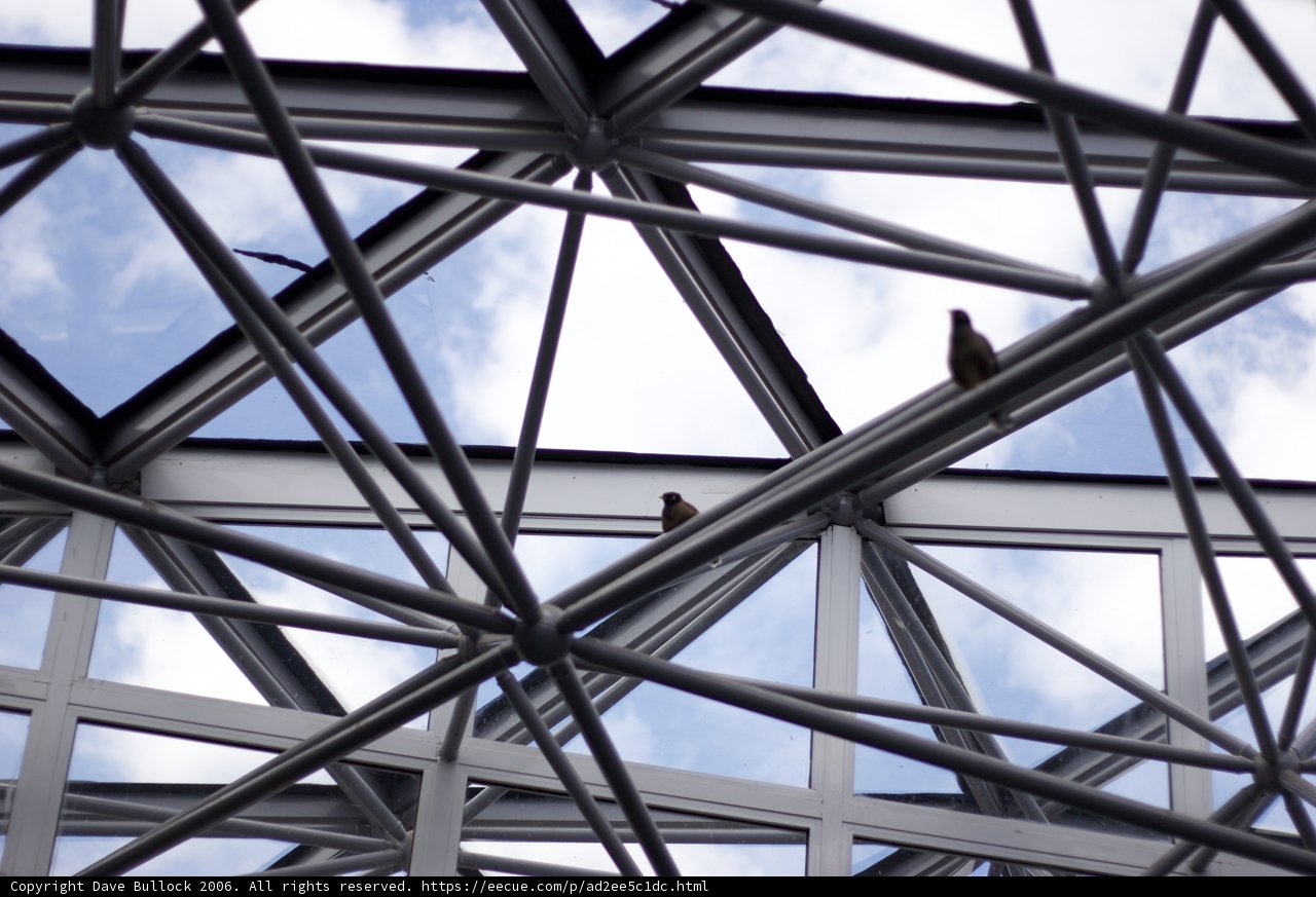 Perched on a Metal Structure