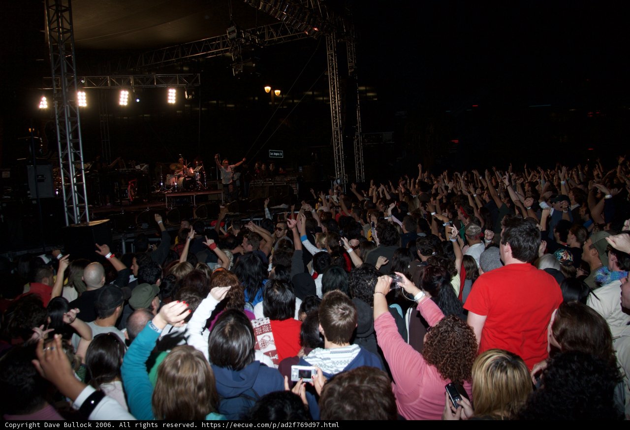 Lights Up on the Crowd