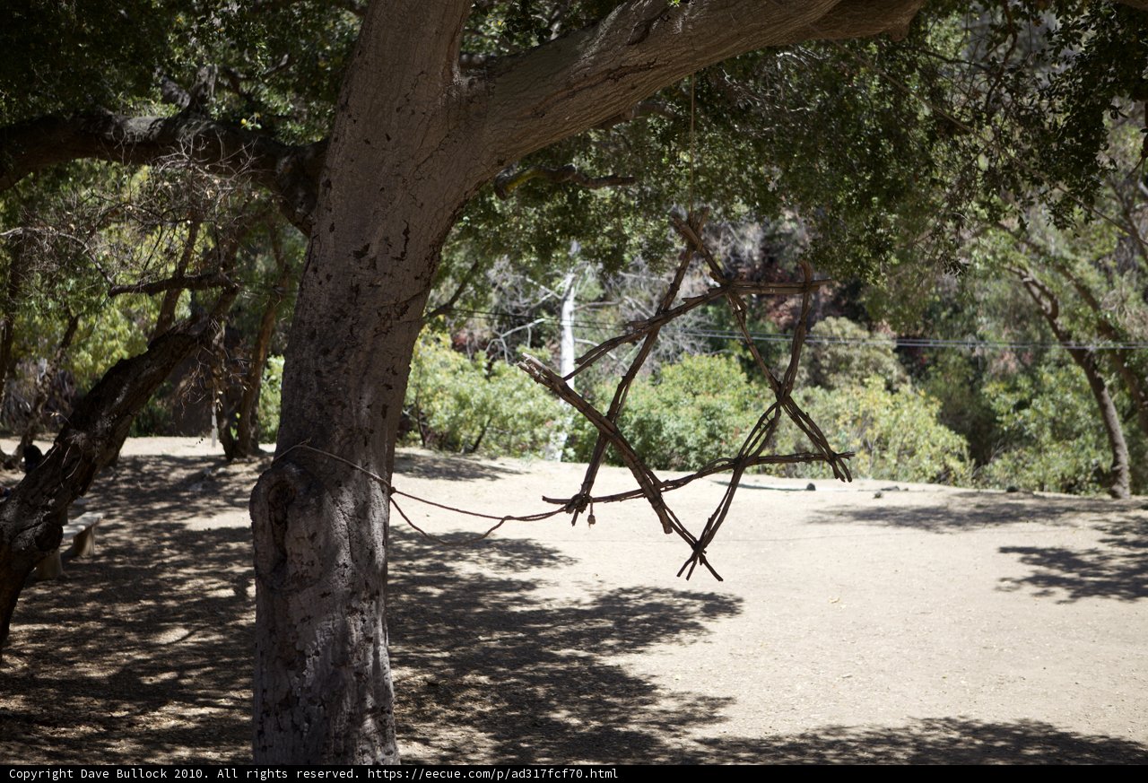 Nature's Playground