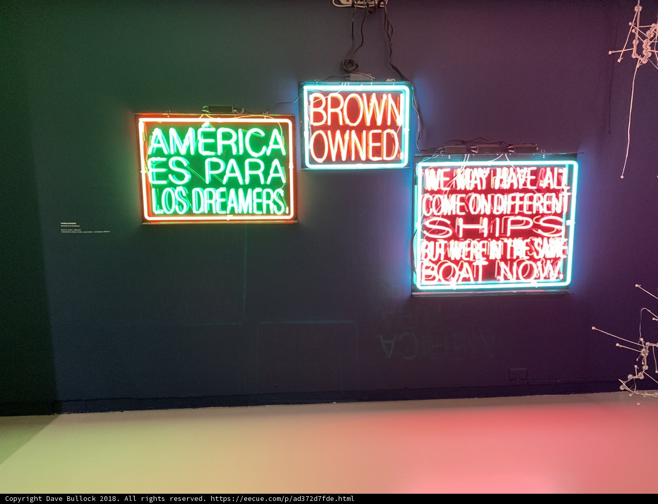 Bright Lights: A Neon Sign Display
