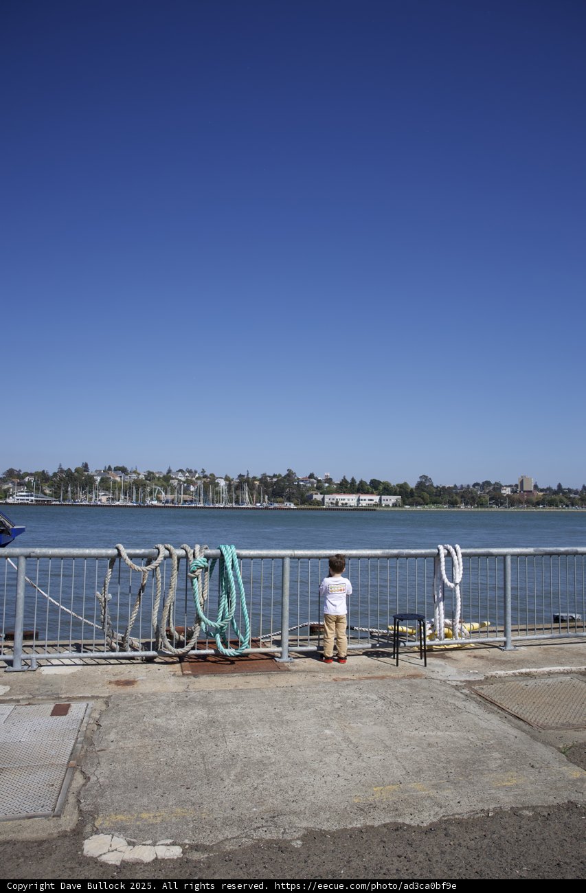 Portside Contemplation