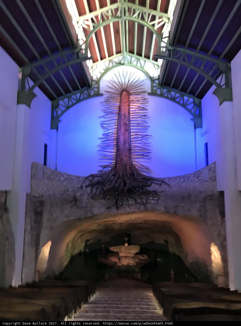 The Majestic Tree of Life in Guadalupe's Cathedral