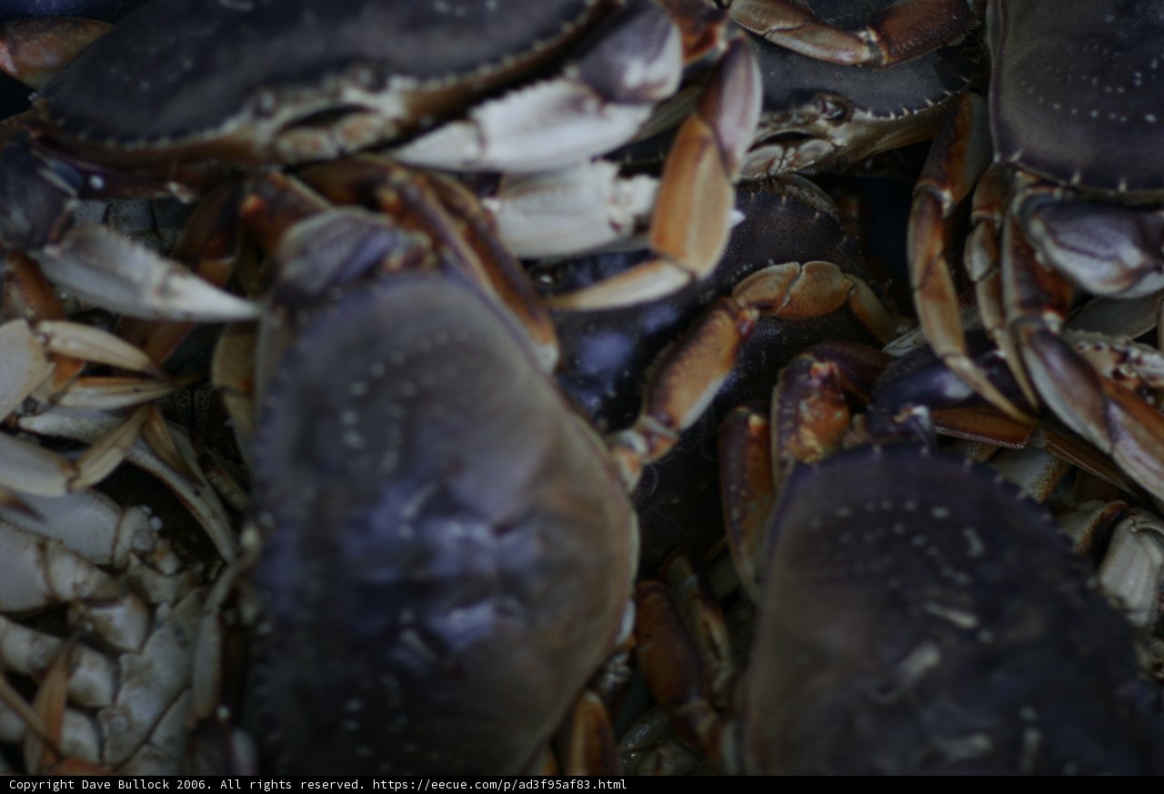 Crab Delicacy