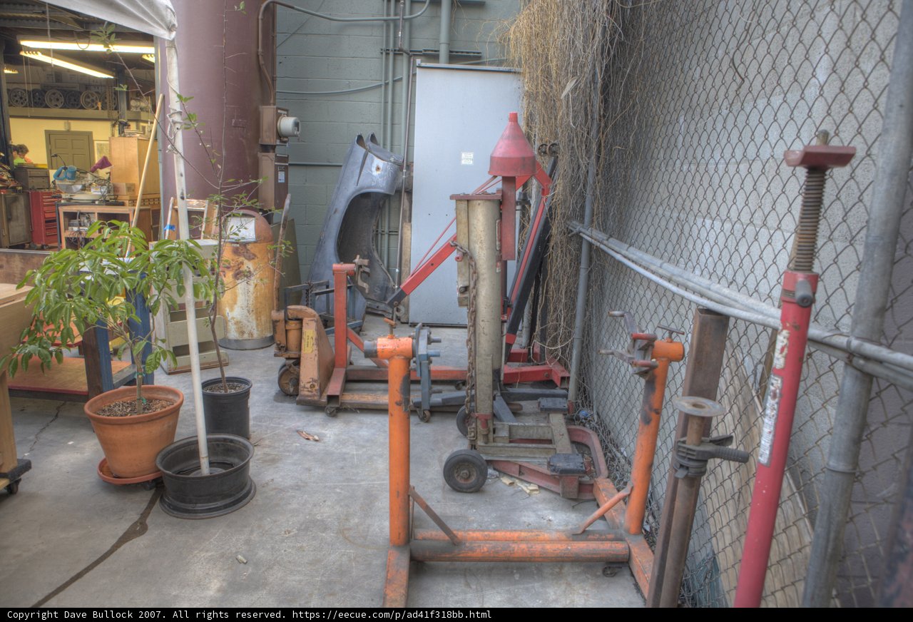 Tools and Plant in the Yard
