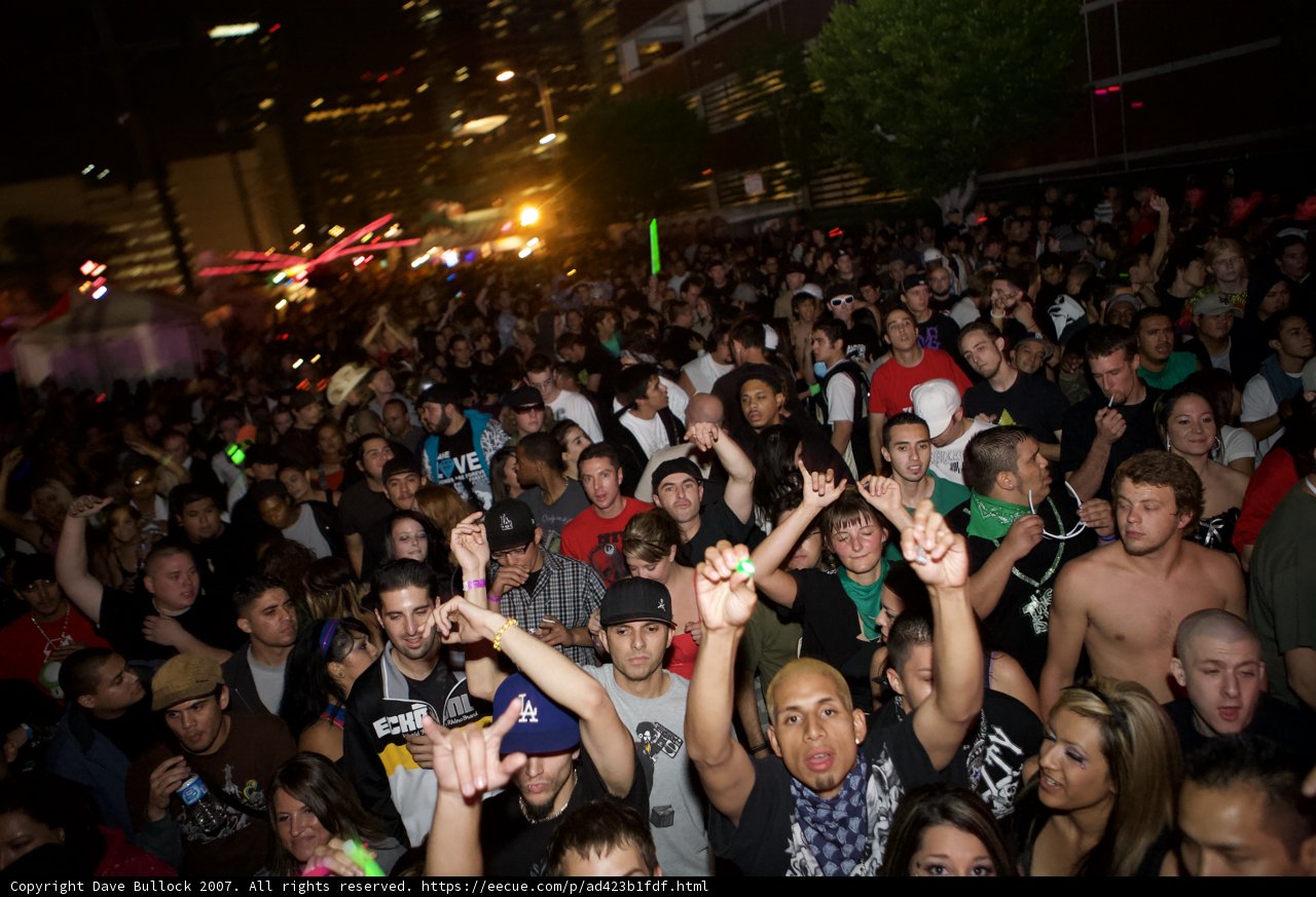 Nocturnal Crowd Goes Wild