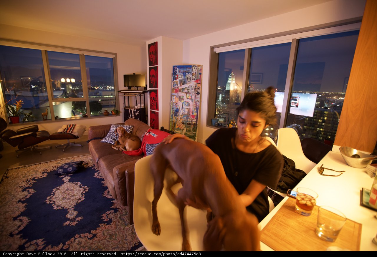 Relaxing in the Living Room