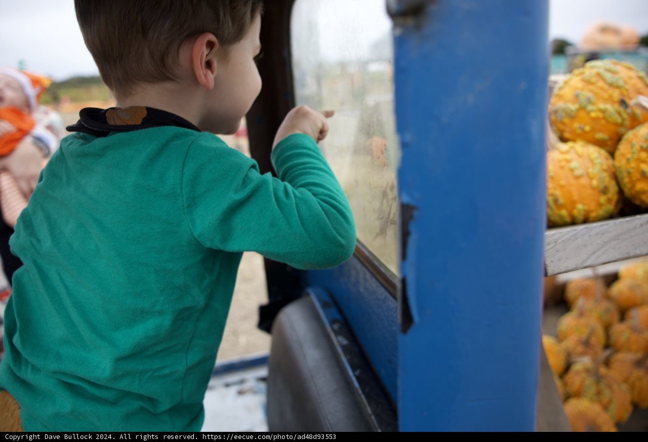 Curious Moments at the Pumpkin Patch