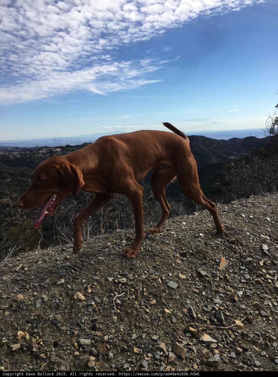 Descent Trail