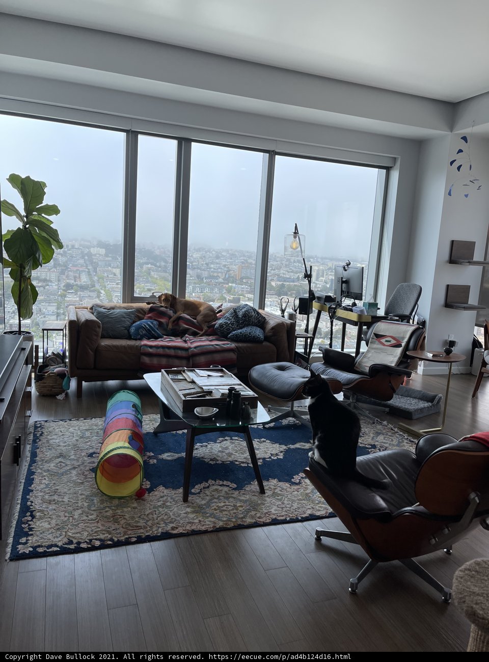 Cozy Living Room