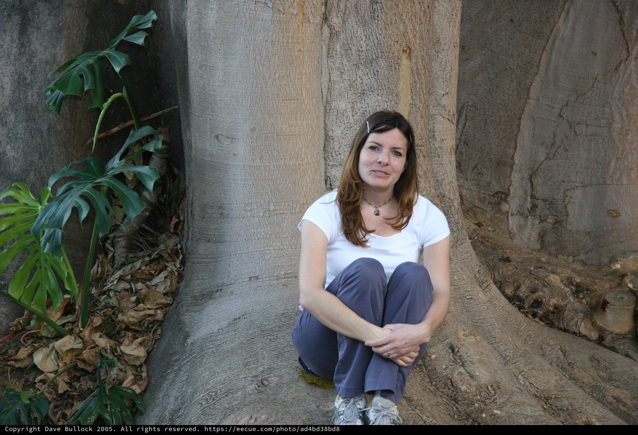 Woman Resting Against Massive Tropical Tree Roots