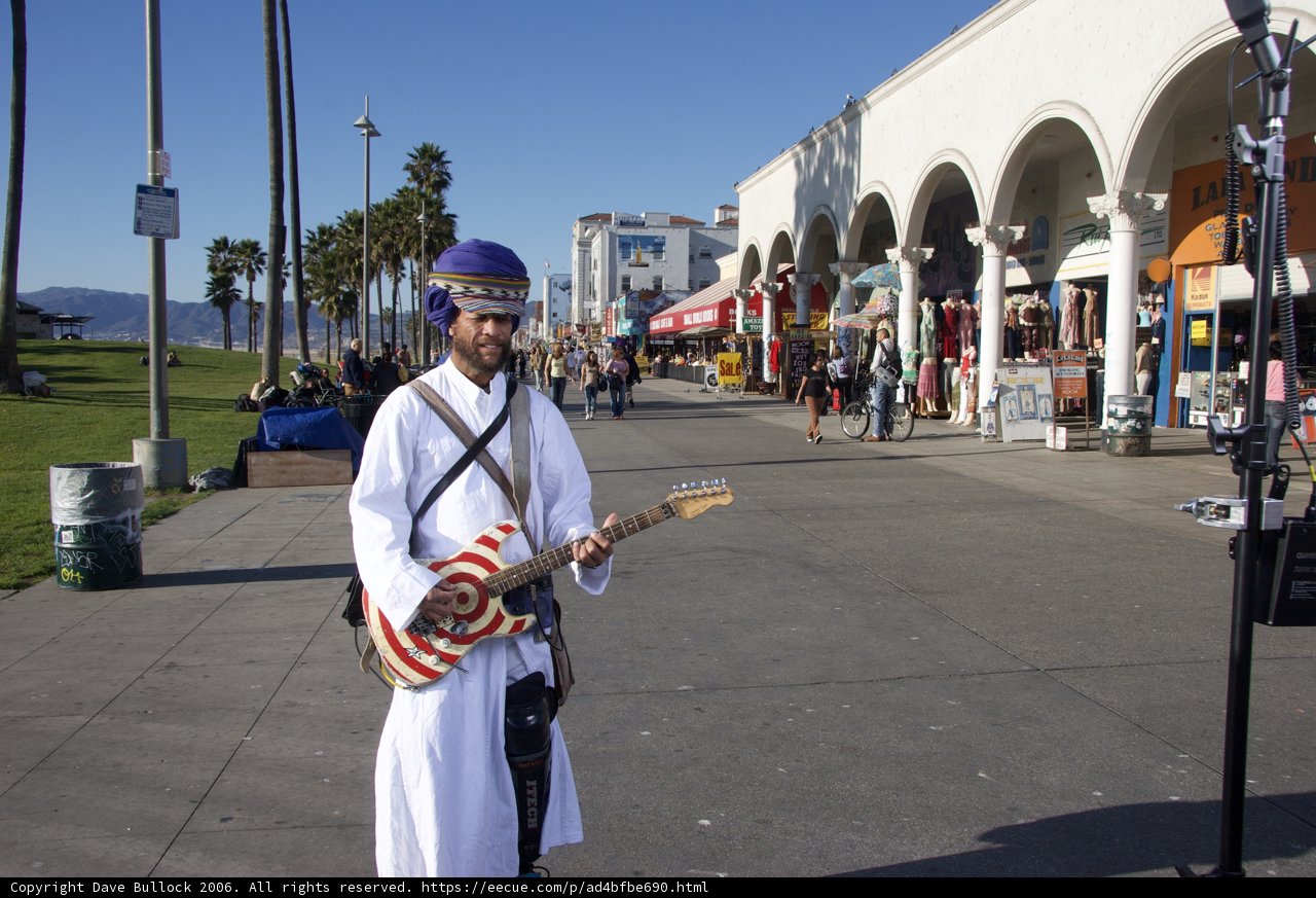 Strumming in the Sunshine