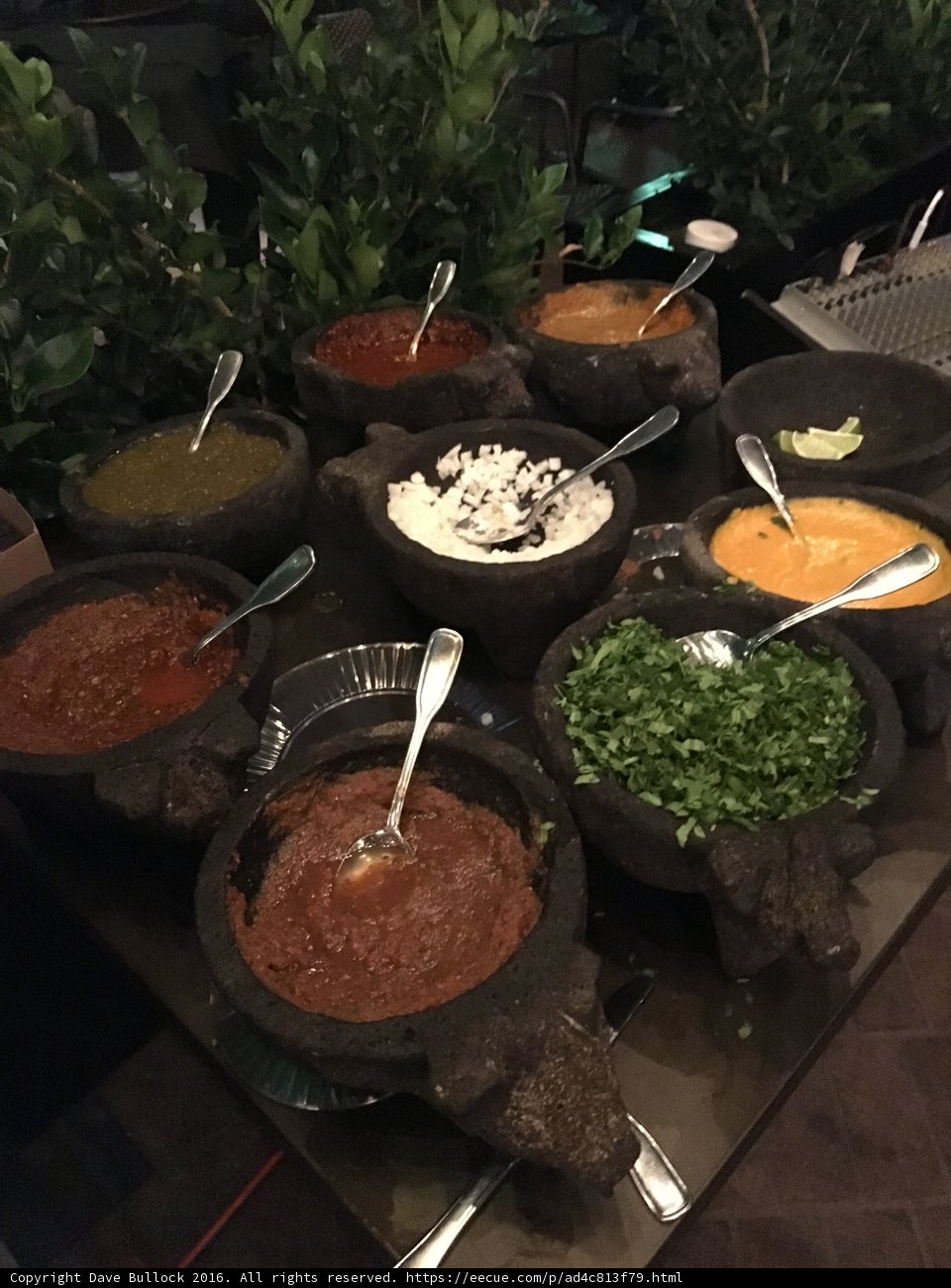Bountiful Buffet