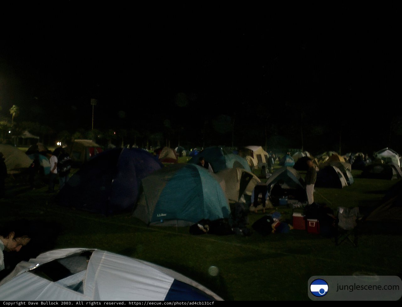 Camping under the Night Sky