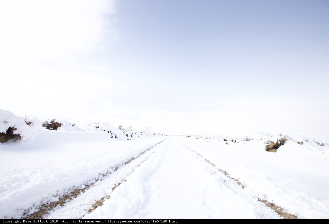 Winter Wonderland