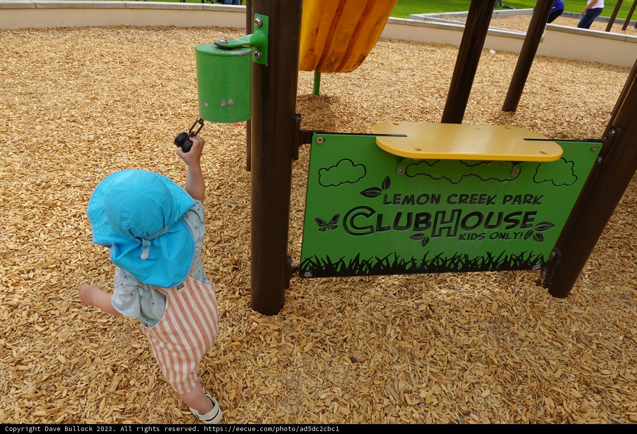 A Carefree Summer Day at the Playground