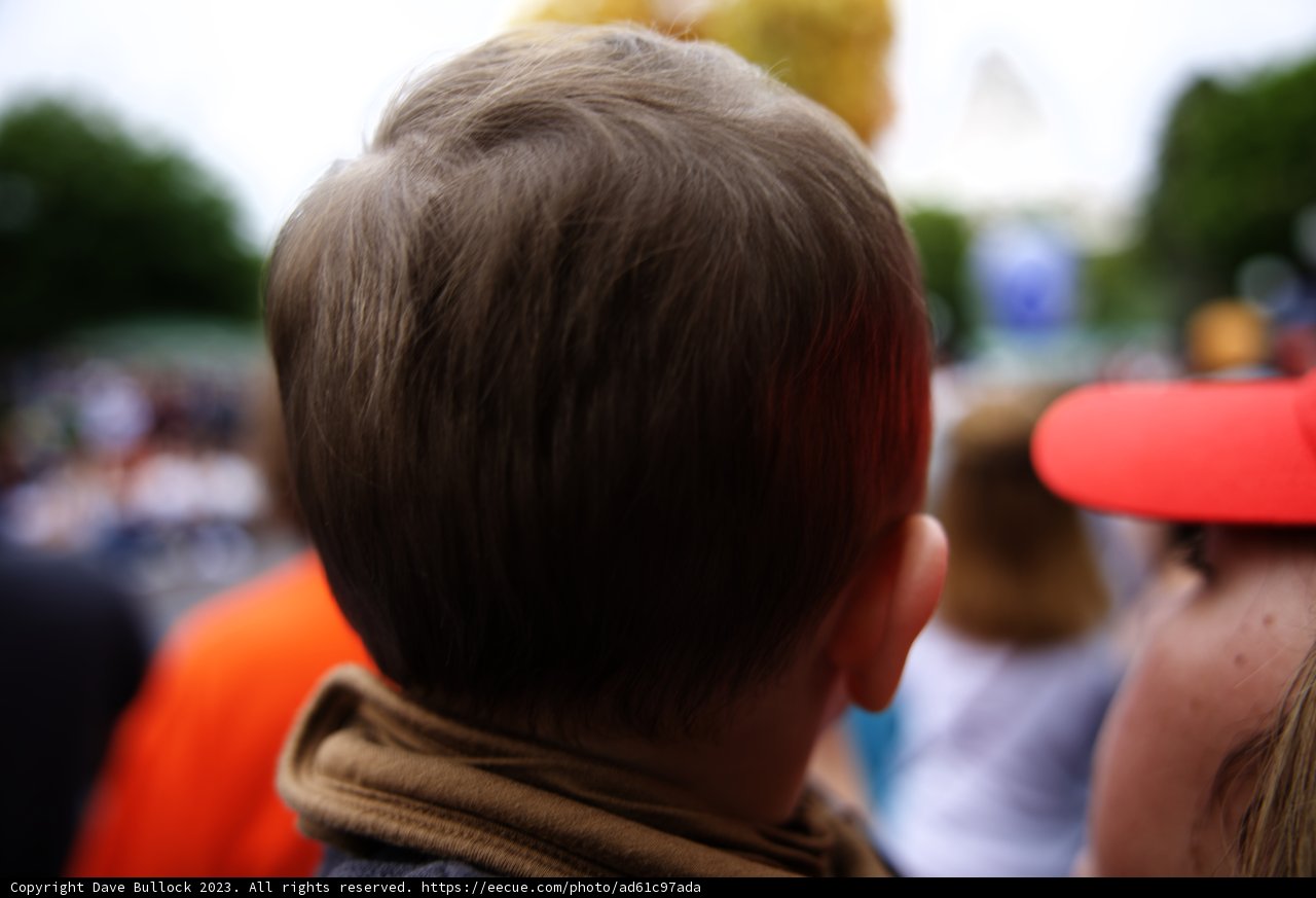 Magical Moments at Disneyland