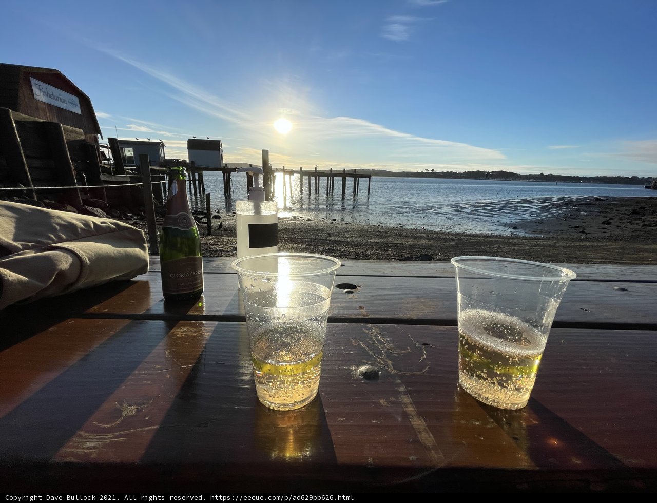Empty Beer Cups on a Sunset Shoreline