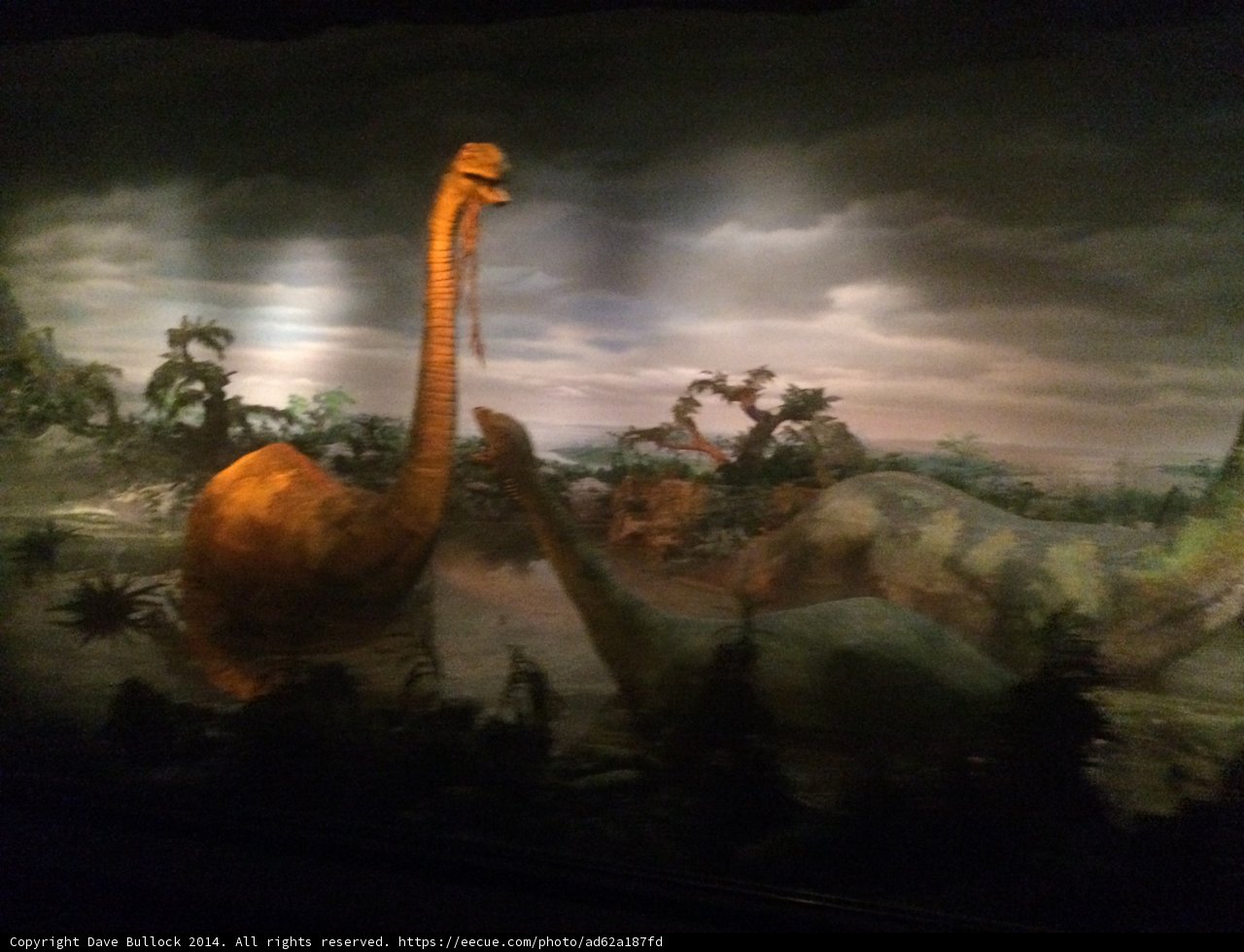 Prehistoric Paradise