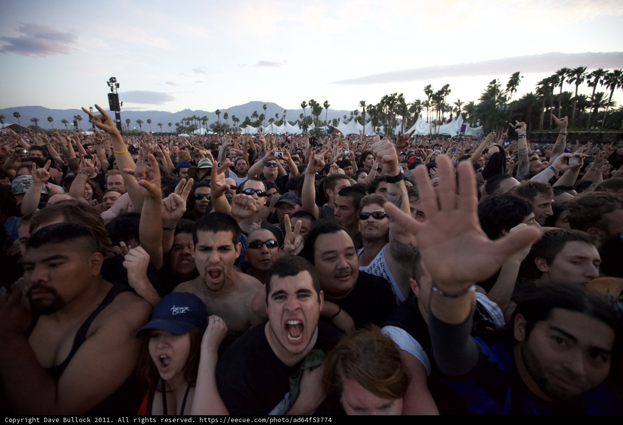 Thrilled Crowd at Big Four Festival