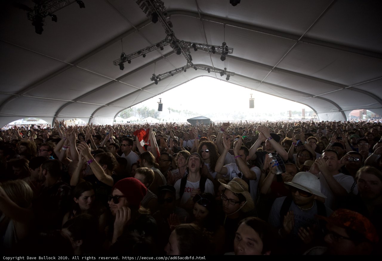 Coachella's Electrifying Crowd