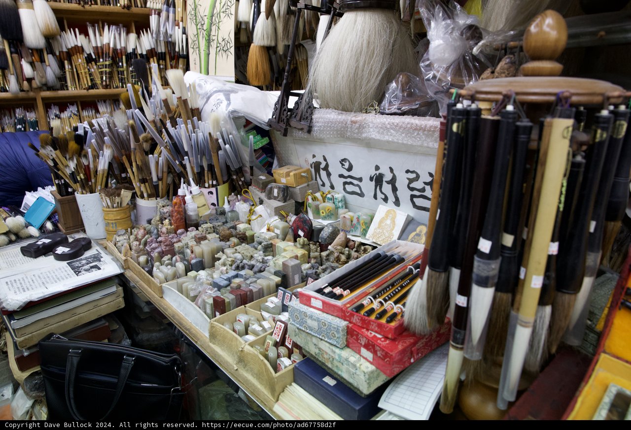 Exploring the Paintbrush Paradise in Korea, 2024