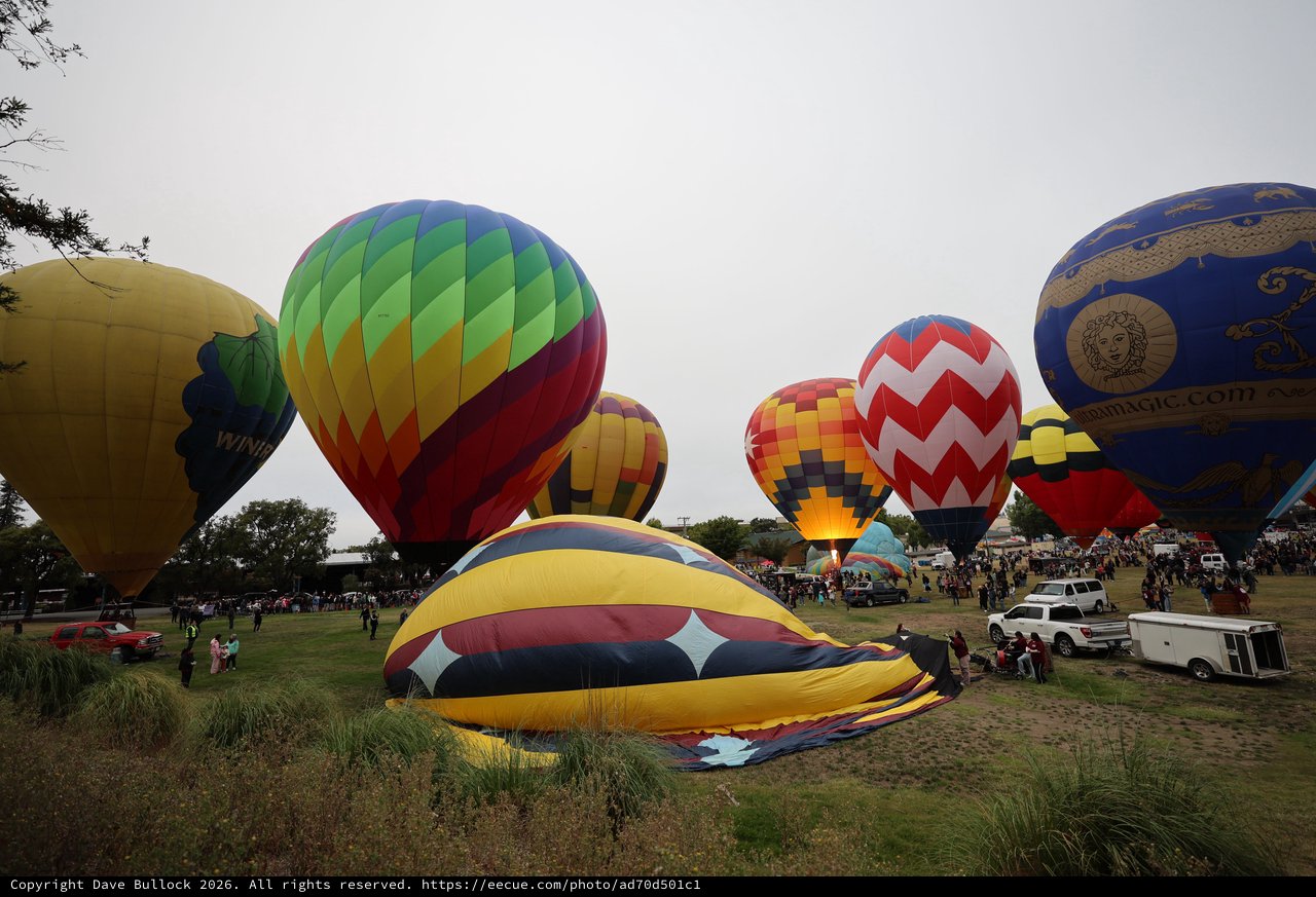 Colorful Hot Air Balloons Fill the Morning Sky