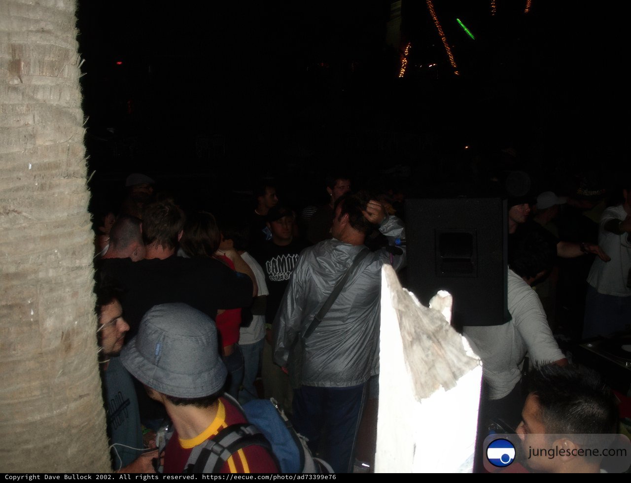 Nighttime Crowd at Ensenada Nightclub