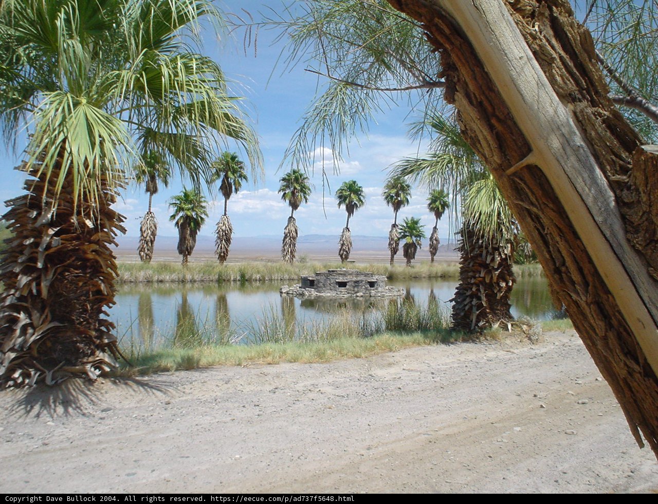 Oasis in the Desert