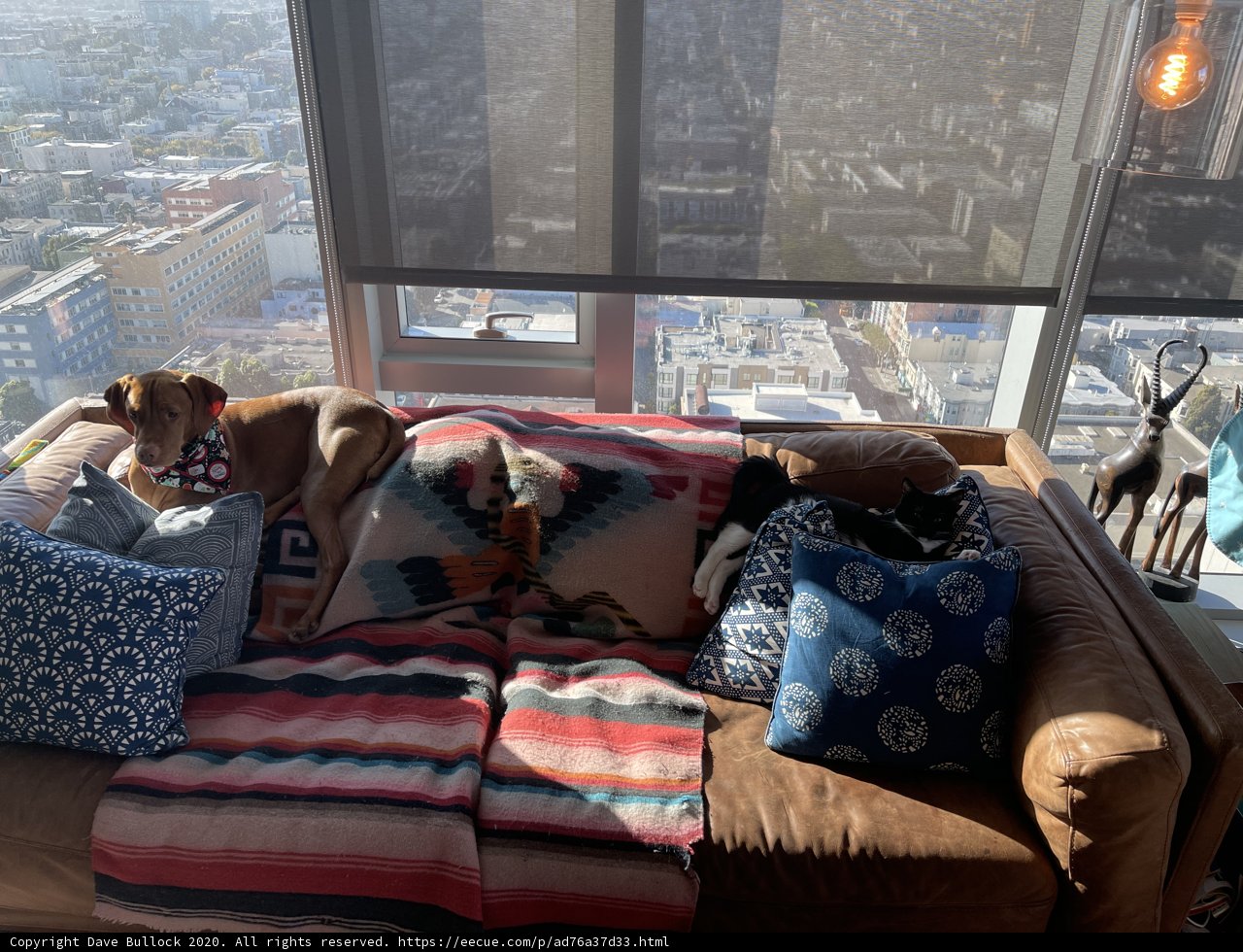 Cozy Afternoon on the Couch