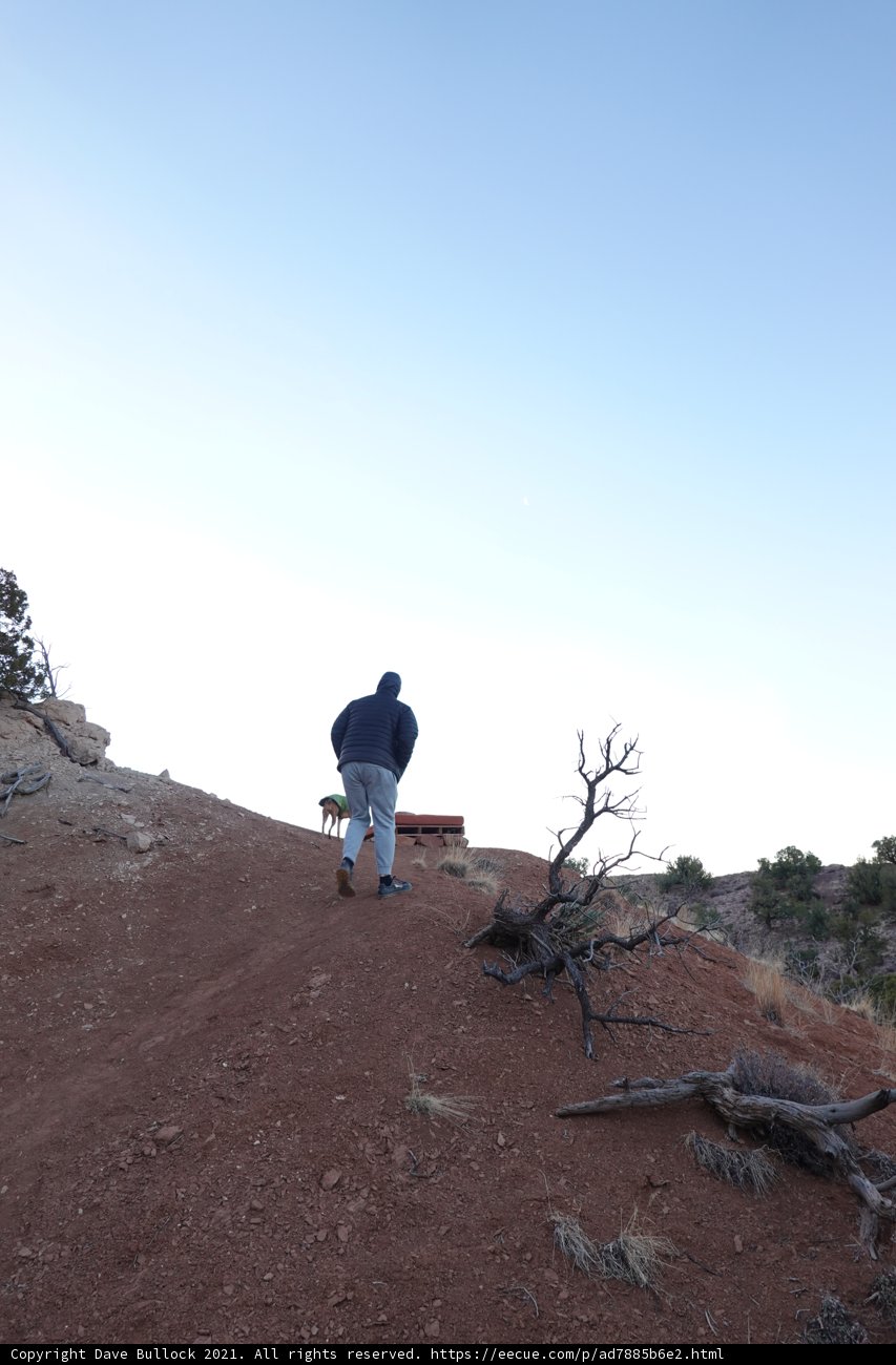 A Man and His Dog Conquer the Wild