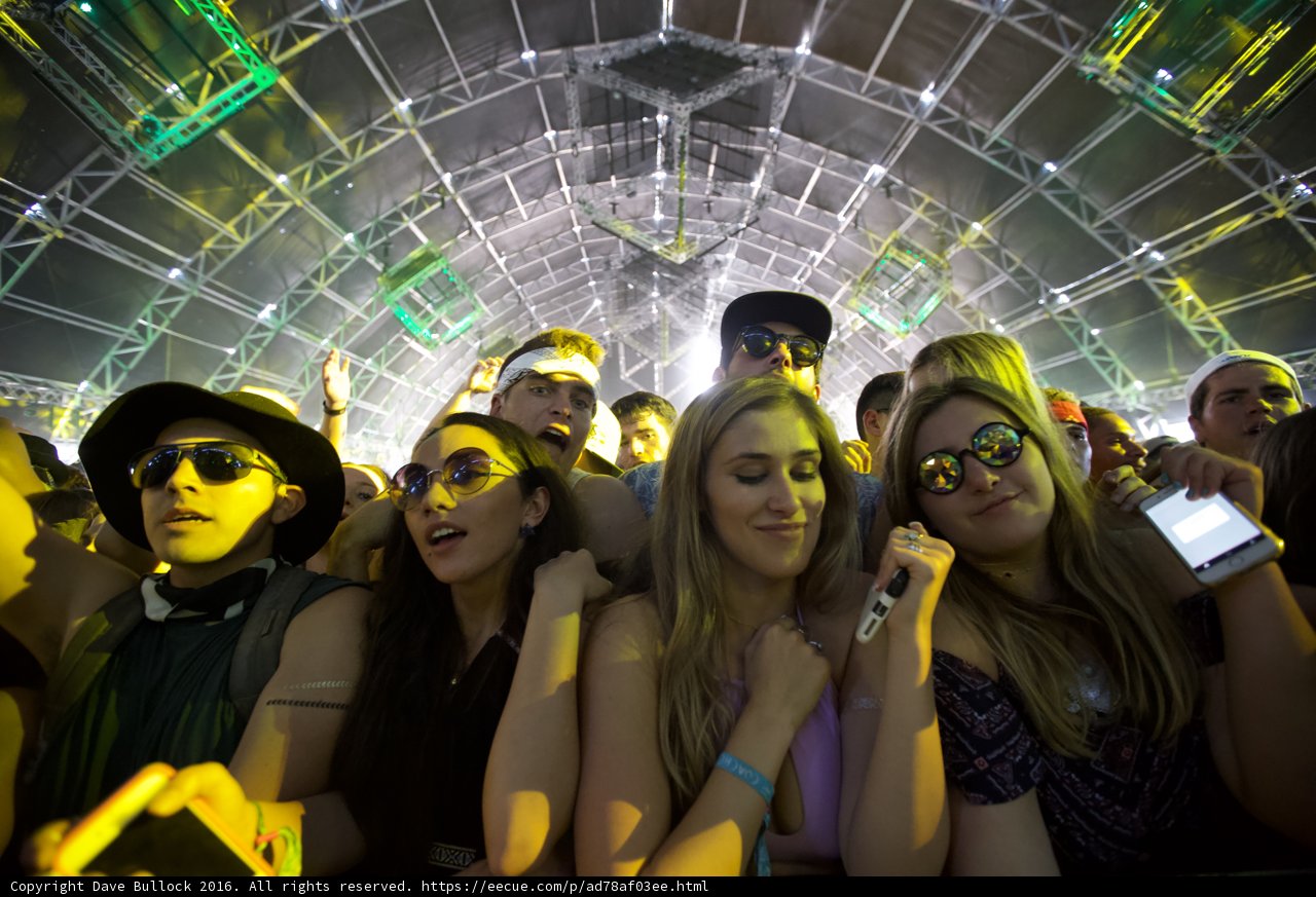 Coachella Crowd Goes Wild
