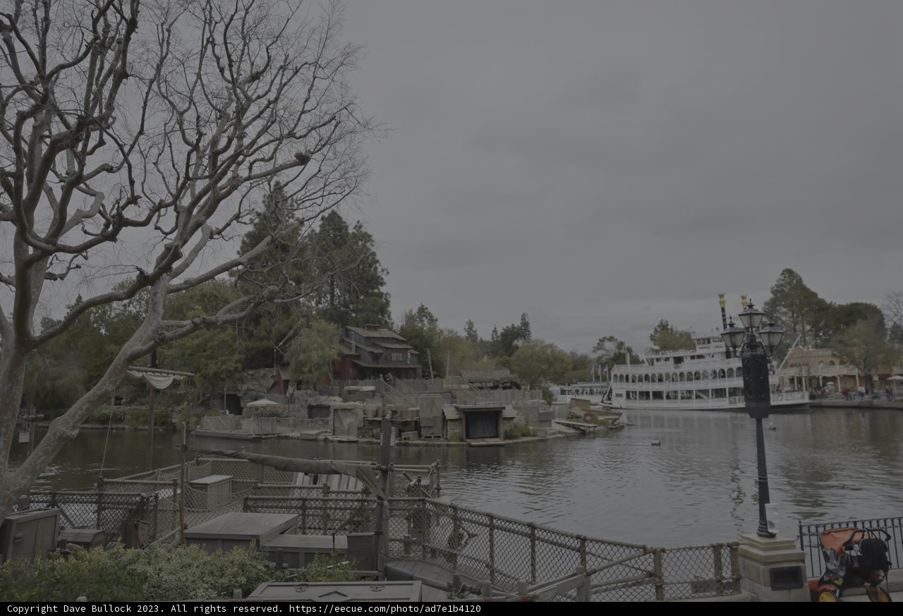 Serene River Scene