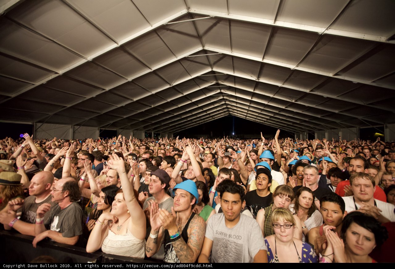 Music Festival Madness