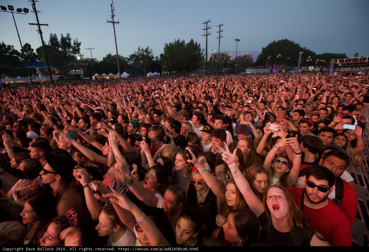 Screaming Fan Epic Crowd