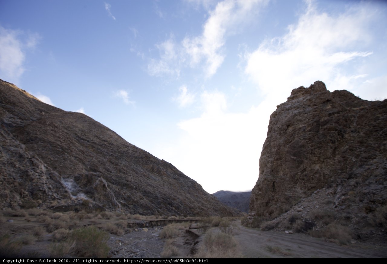 Into the Wilderness