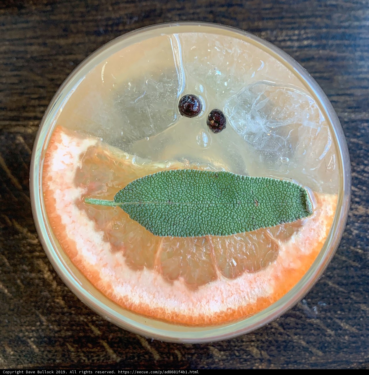 Citrus Refreshment