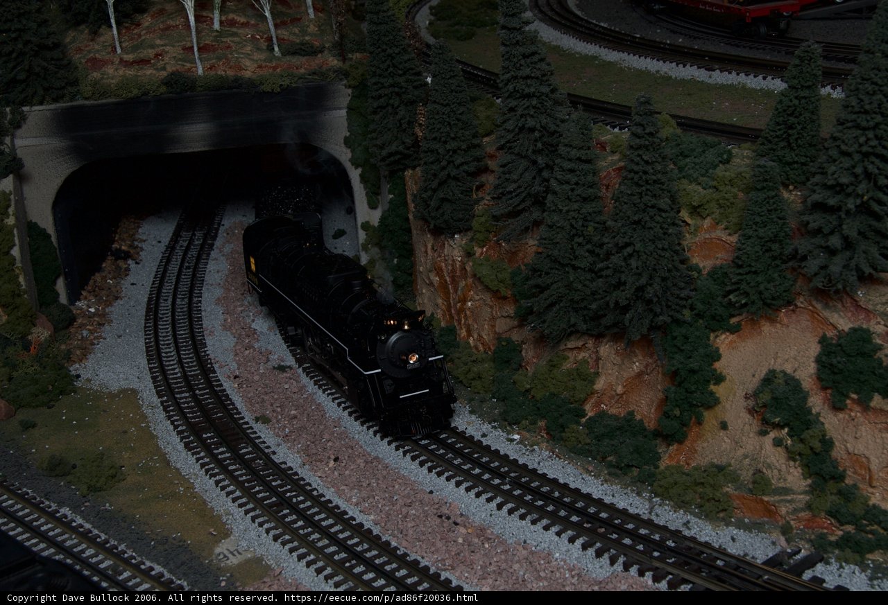 Through the Conifer Tunnel