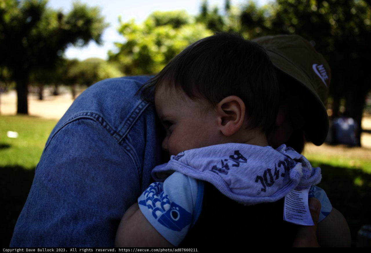 Cherished Moments in Nature
