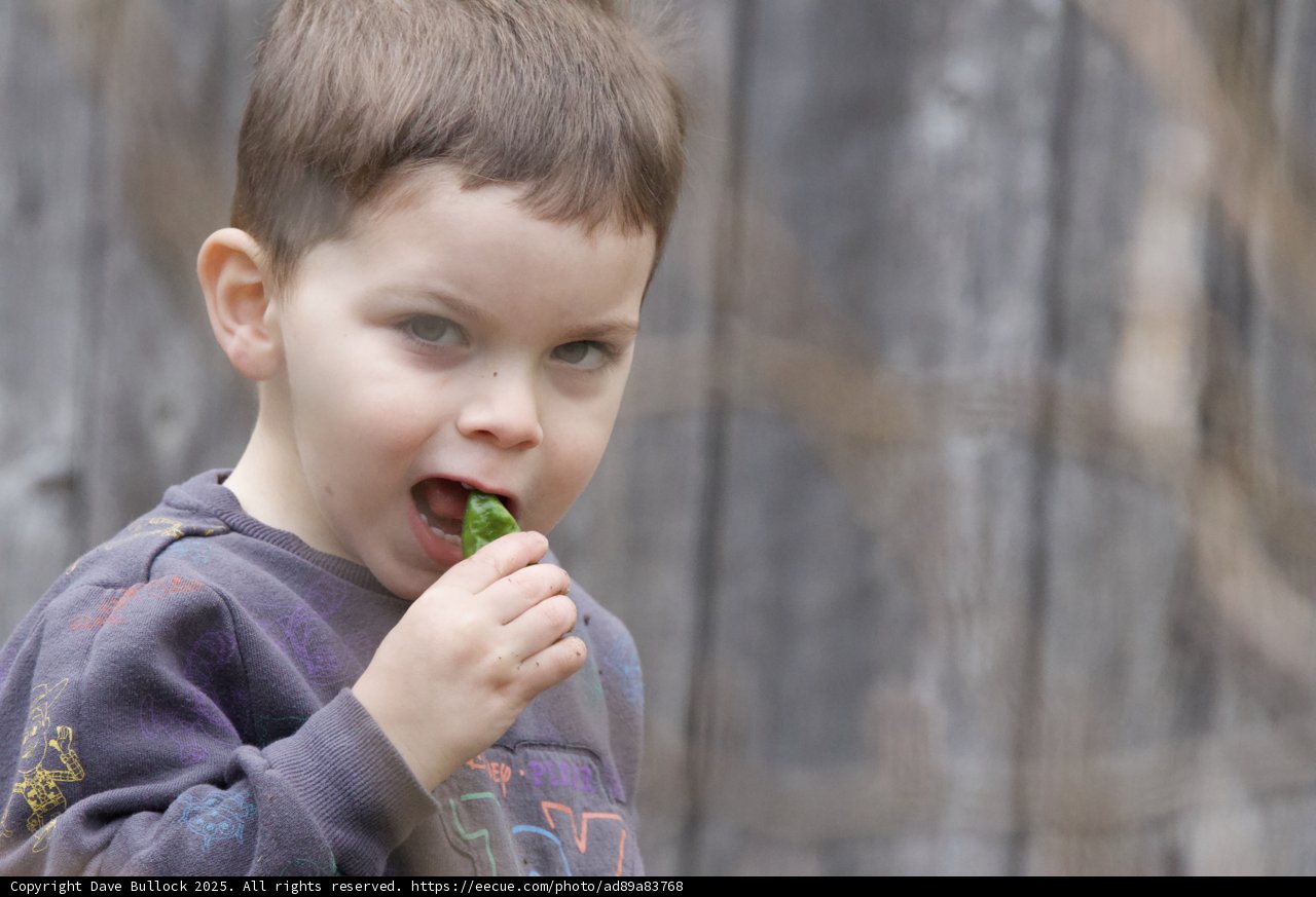 A Bite of Innocence