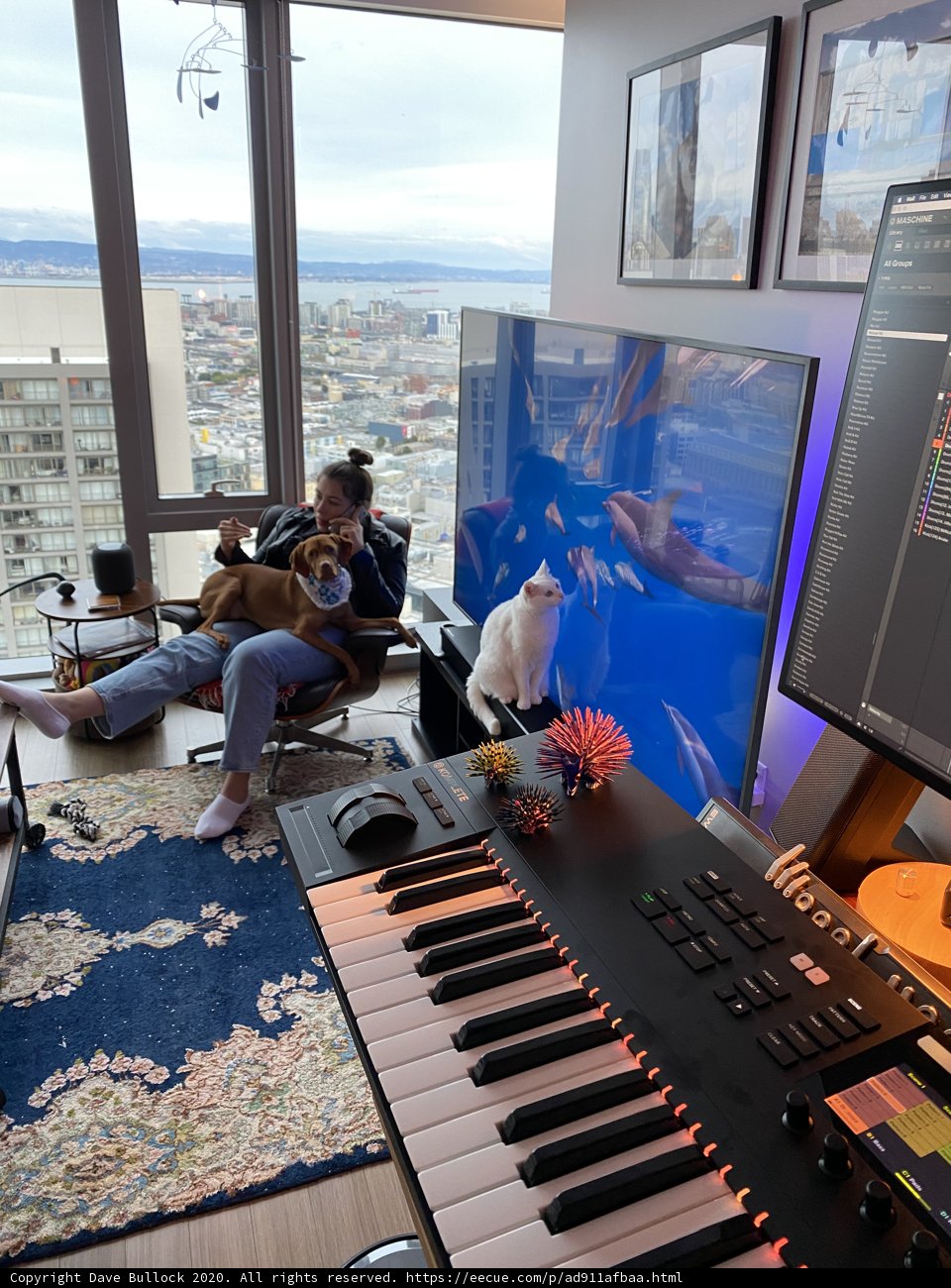 Musical Comfort