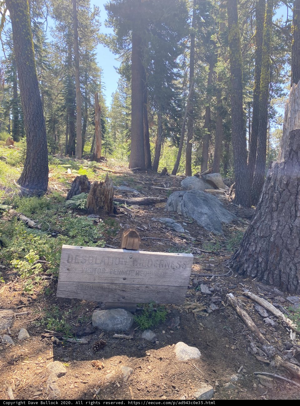 Trailhead in the Sequoia Grove