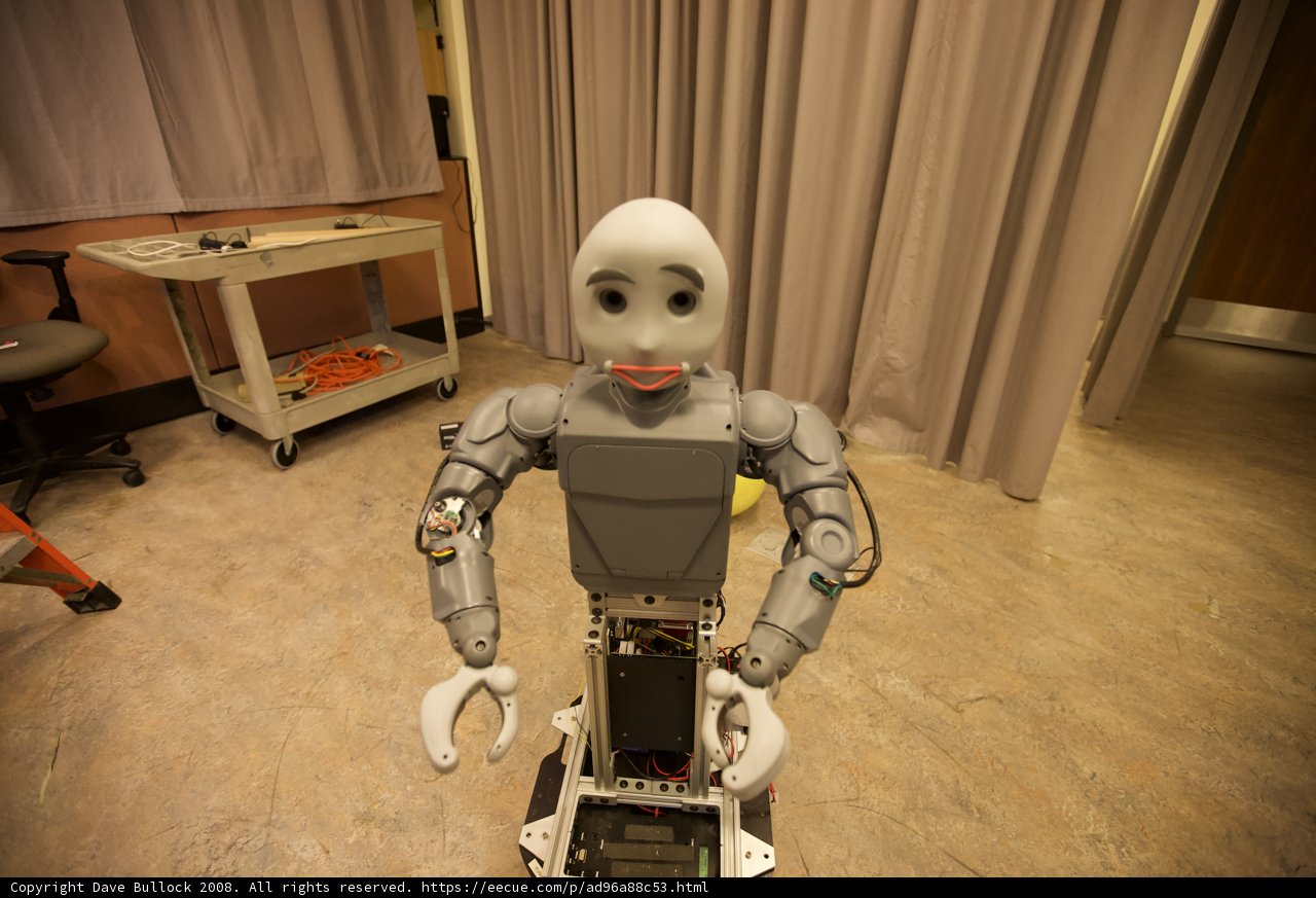 Face of a Robot