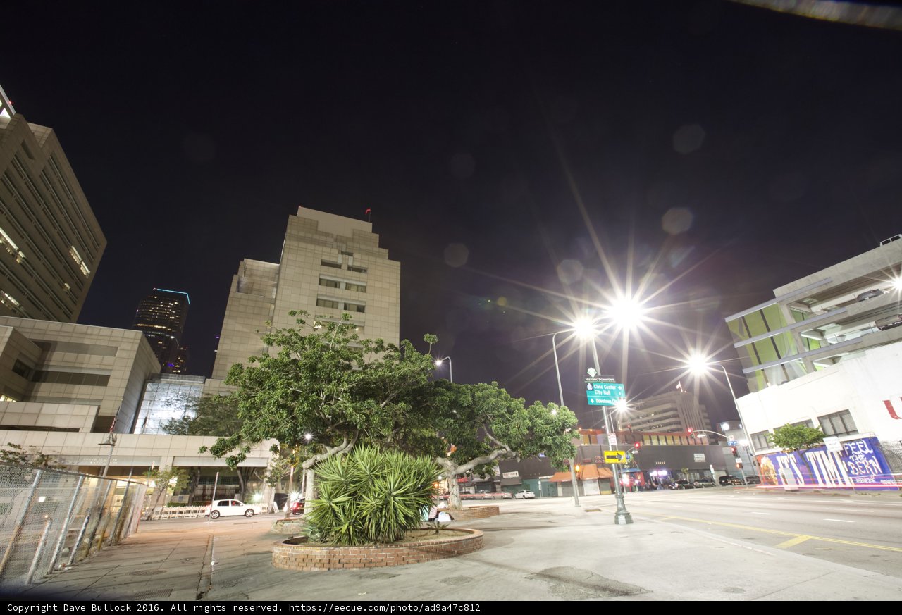Nightlife in the Metropolis